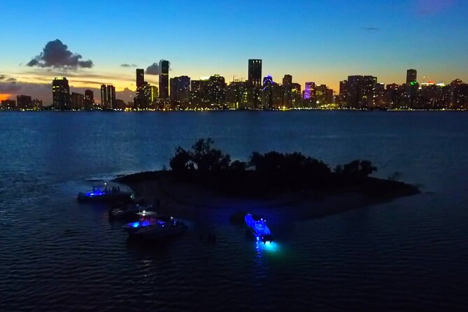 Luxury Charter + Access to Hidden Gems in Biscayne National Park - Sandbar time in Biscayne: swimming, snorkeling, and just… staying