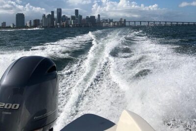 Luxury Charter + Access to Hidden Gems in Biscayne National Park - Star Island mansions and the Miami River: seeing the skyline from a better angle