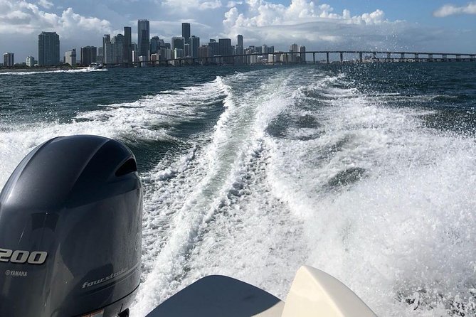Luxury Charter + Access to Hidden Gems in Biscayne National Park - Star Island mansions and the Miami River: seeing the skyline from a better angle
