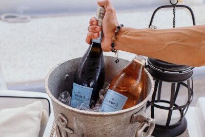 Luxury Shared Miami River E-Boat Cruise with Wine and Charcuterie - Brickell-to-Downtown skyline views and the fun of movable bridges