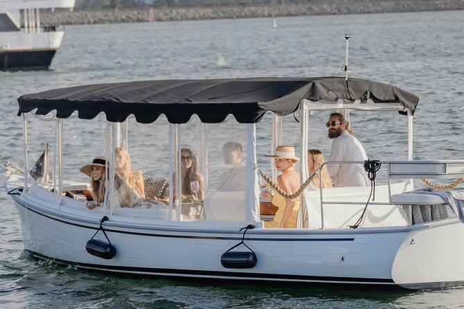 Luxury Shared Miami River E-Boat Cruise with Wine and Charcuterie - Manatees on the water: how wildlife fits into your skyline cruise