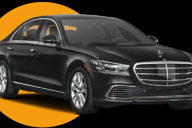 Luxury Transfer From Port of Miami to Miami and Fort Lauderdale - Customizable transfers: airport, city, or a later-day plan