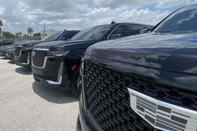 Luxury Transfer From Port of Miami to Miami and Fort Lauderdale - Finding your driver fast in the Port of Miami maze