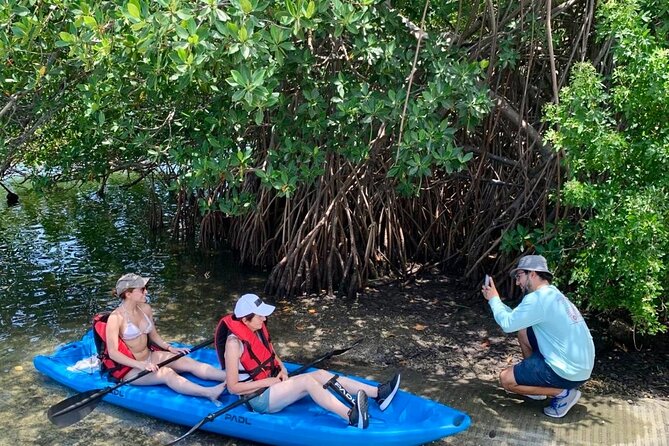 Manatee Season Guided Paddle Tour from Virginia Key - Biscayne Bay in Manatee Season: The Main Event