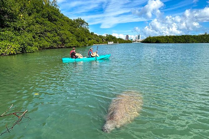 Manatee Season Guided Paddle Tour from Virginia Key - Gear, Group Size, and the Real Value of the $80 Price