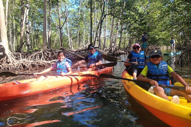 Mangrove Jungle exploration on SUP/Kayak - Mangrove SUP or Kayak in Biscayne Bay: What the 150 Minutes Feel Like