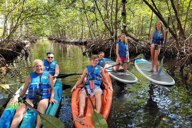 Mangrove Jungle exploration on SUP/Kayak - Paddling the Mangrove Channels: Wildlife Watching That Actually Works
