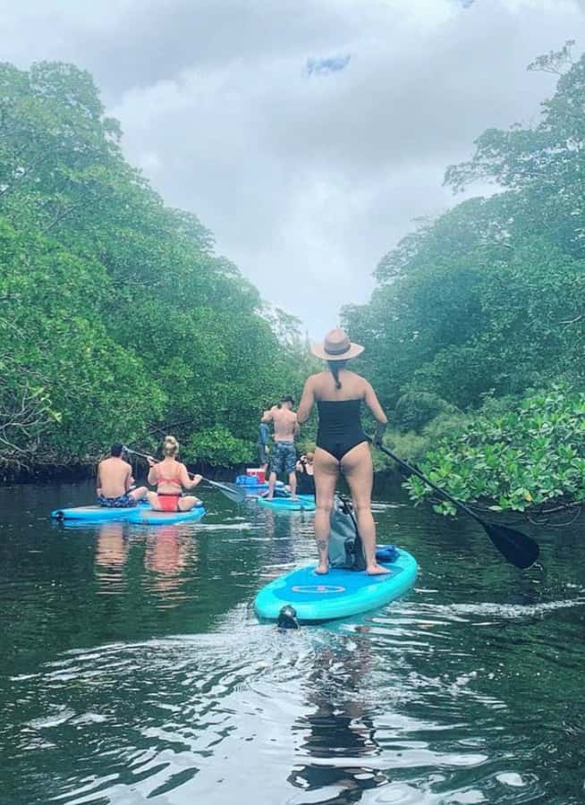 Mangrove Jungle exploration on SUP/Kayak - What to Bring (and Why No Bathroom Changes Your Plan)