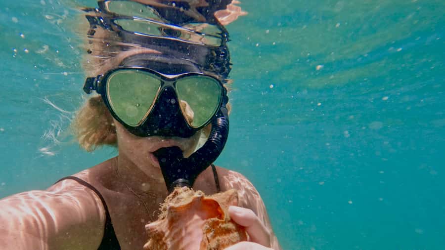 Mermaid Snorkel and Video Shoot - West Palm Beach - Mermaid Snorkel and Video Shoot: what you’re really buying