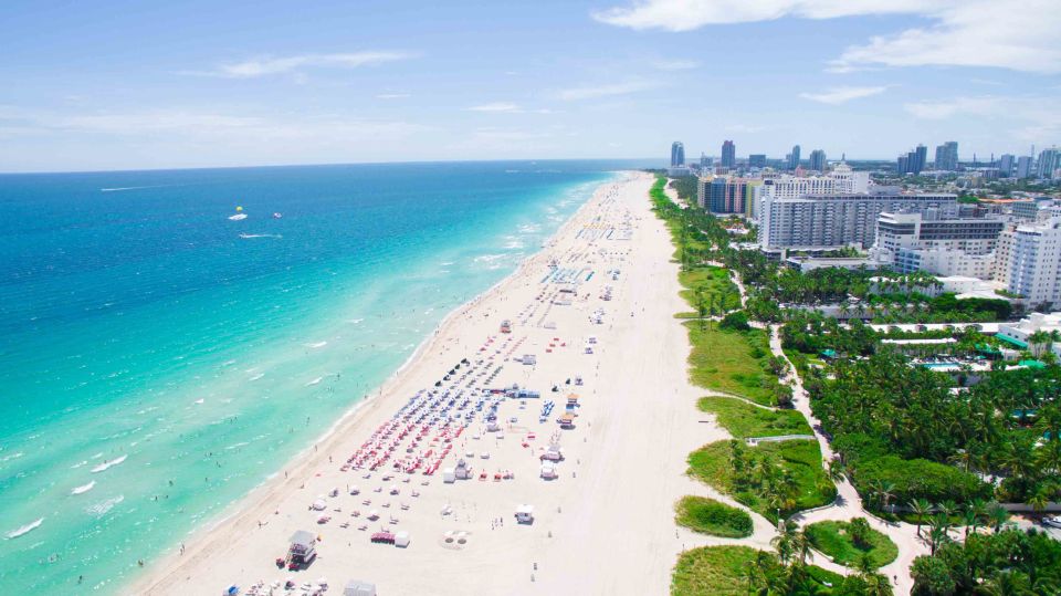 Miami: 1-Hour Jet Ski City Tour - Dolphins in Biscayne Bay: How to Increase Your Odds