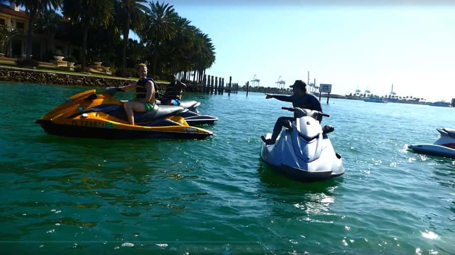 Miami: 1-Hour Jet Ski Tour - Wildlife Watch: What You’ll Actually Be Looking For