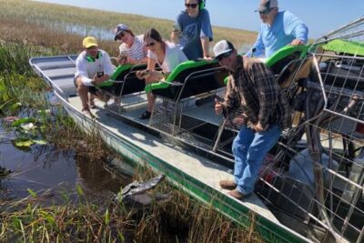 Miami: 60 Minute Private Everglades Airboat Ride - On the Water: Wildlife Spotting That Feels Guided, Not Random