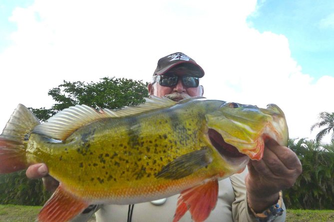Miami Airport Lakes Peacock Bass Fishing Trip (1 to 4 ppl) - Airport Lakes and Blue Lagoon: Why this water is good for peacock bass