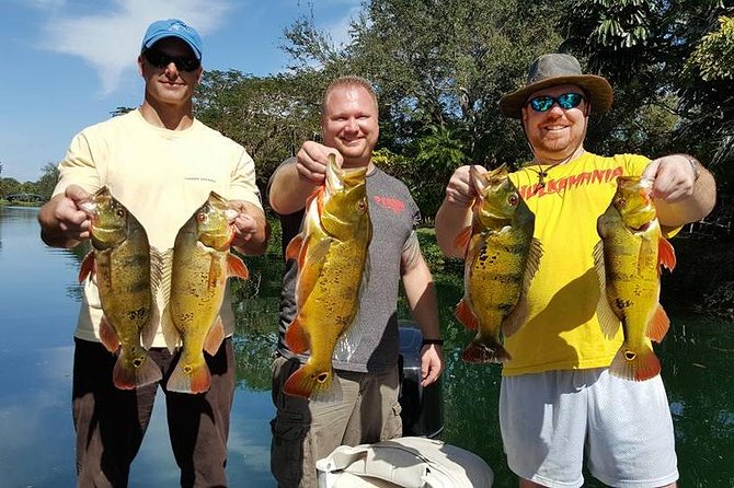 Miami Airport Lakes Peacock Bass Fishing Trip (1 to 4 ppl) - Antonio Maceo Park: the meeting point that keeps things simple