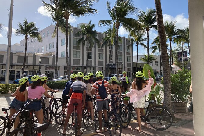 Miami Beach Bike Rentals - The Bikes: Clean Cannondales, Plus Options for Everyone