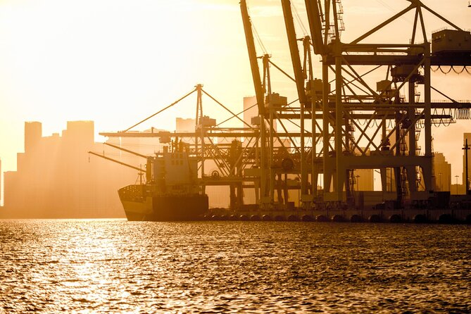 Miami Beach Boat Tour & Sunset Cruise - Port of Miami waterfront: cruise ships and global trade in your view
