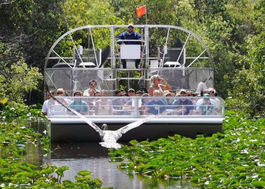 Miami Beach: Everglades Airboat Tours and Rides - Wildlife Spotting That Fits Real Expectations