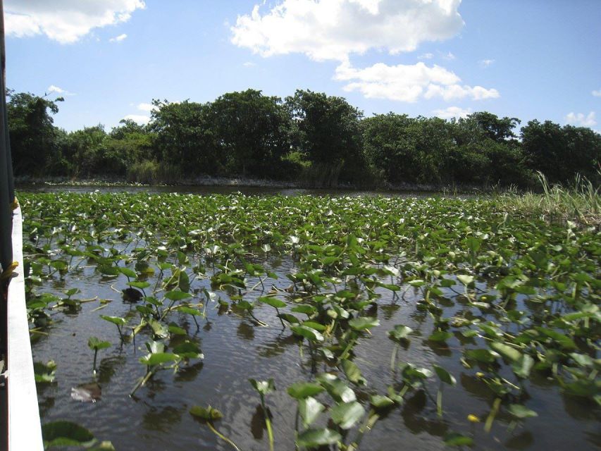Miami Beach: Everglades Airboat Tours and Rides - Who This Tour Fits Best (and Who Might Want Another Option)