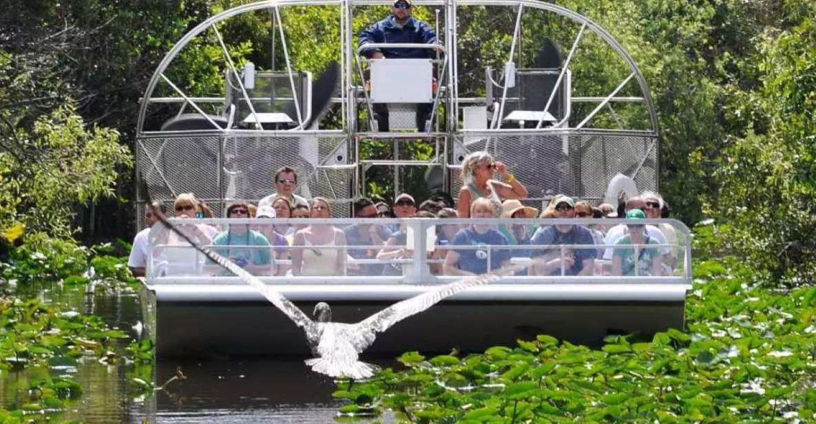Miami Beach: Everglades Airboat Tours and Rides - Small Practical Tips That Make the Day Easier
