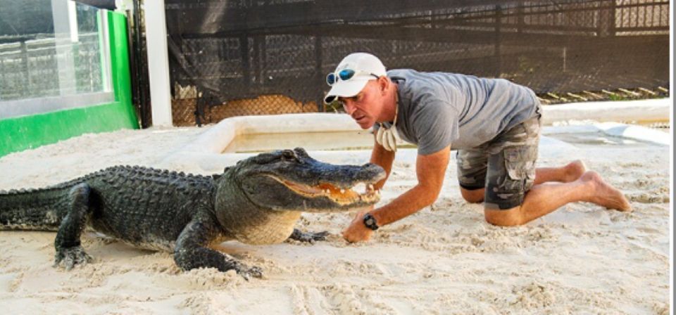 Miami Beach: Everglades Airboat Tours and Rides - Airboat Ride Through Mangrove Tunnels and Marsh Grass