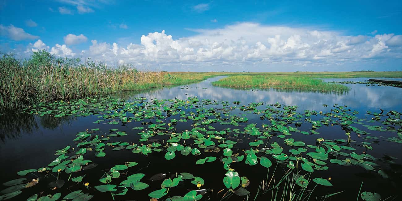 Miami Beach: Everglades Airboat & Wildlife Sanctuary - Who Should Book (and Who Should Skip It)