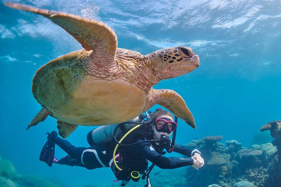 Miami Beach: Guided 2-Tank Reef and Wreck Dive Trip - The small-group setup: why 6 people is a big deal