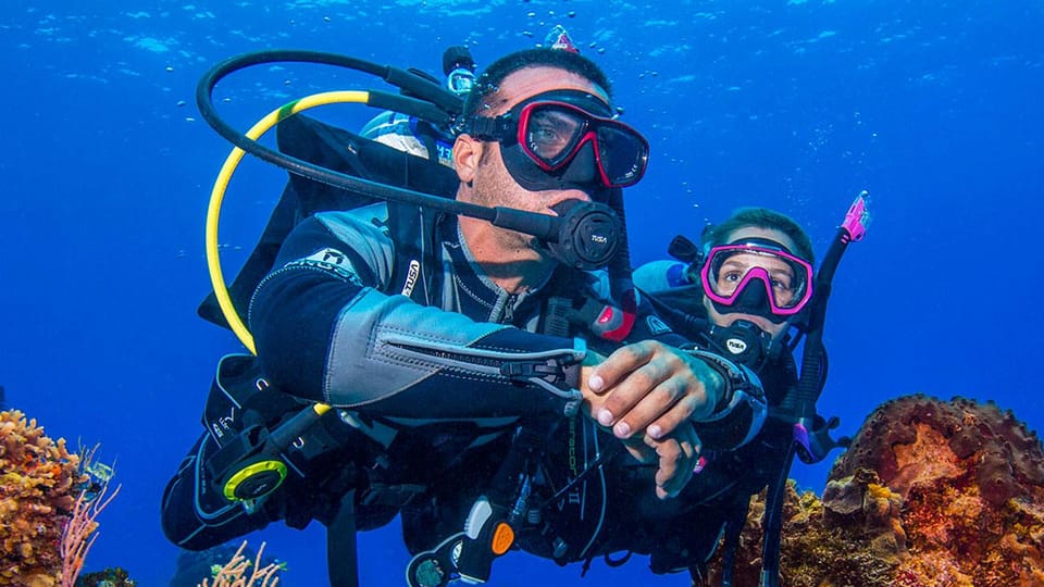 Miami Beach: Guided 2-Tank Reef and Wreck Dive Trip - Total value: is $107 a fair price?