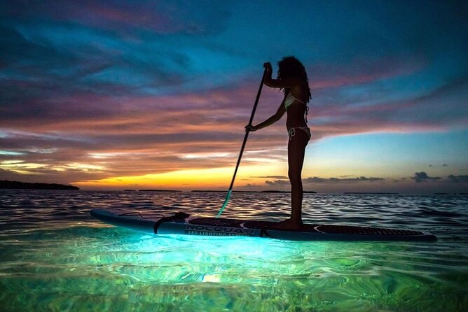 Miami Beach: Illuminated Sunset Paddleboard Tour - Key points to know before you go