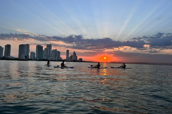 Miami Beach Paddleboard Rental with Instruction - Views Along the Coast: Channels, Houses, and Moving Through the Water