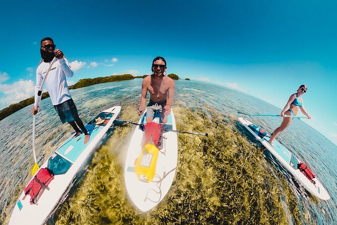 Miami Beach Paddleboard Rental with Instruction - Who Should Book This (and Who Should Skip It)