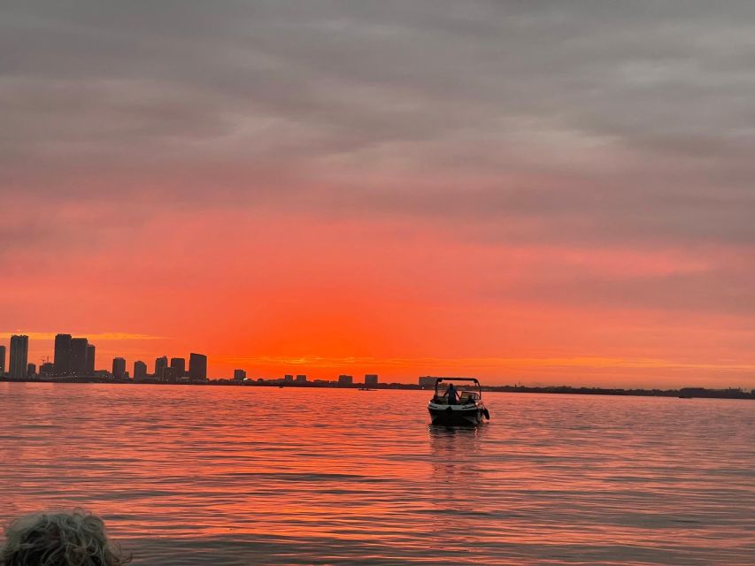 Miami Beach: Spectacular Sandbar & Skyline Boat Tour - Private Biscayne Bay Views With a Captain Who Actually Runs the Moment