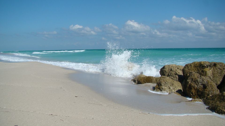 Miami: Beach Wedding or Renewal of Vows - Photos, Flowers, and Champagne: What’s Actually Included