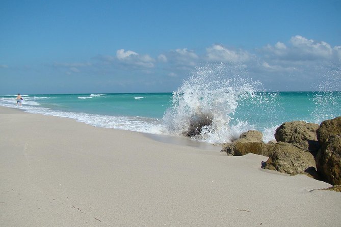 MIAMI Beach Wedding or Vow Renewal Ceremony - The officiant experience: personalized, but not overly complicated