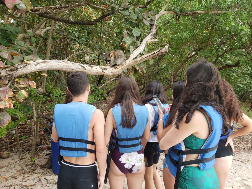 Miami: Beginner-Friendly Island Snorkeling by SUP or Kayak - SUP or Kayak Basics: You Get Taught Before You’re Tested