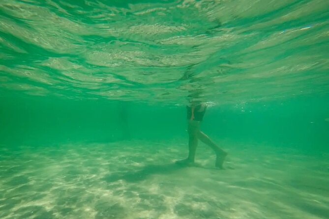 Miami Biscayne Bay Boat Tour with Sandbar Experience. - Logistics You’ll Actually Care About (Without the Headache)