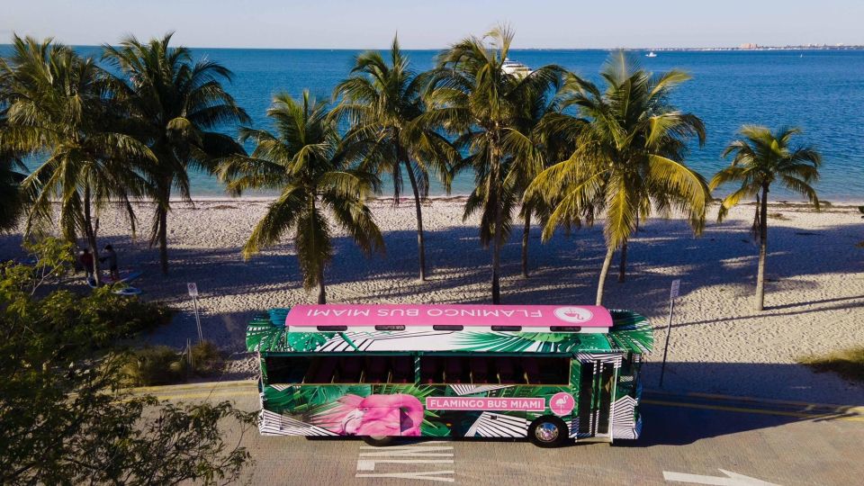 Miami Bus Tour Flamingo Open Air Trolley Bus Tours City Tour - Wynwood Arts District and the Walls: street art in a focused window