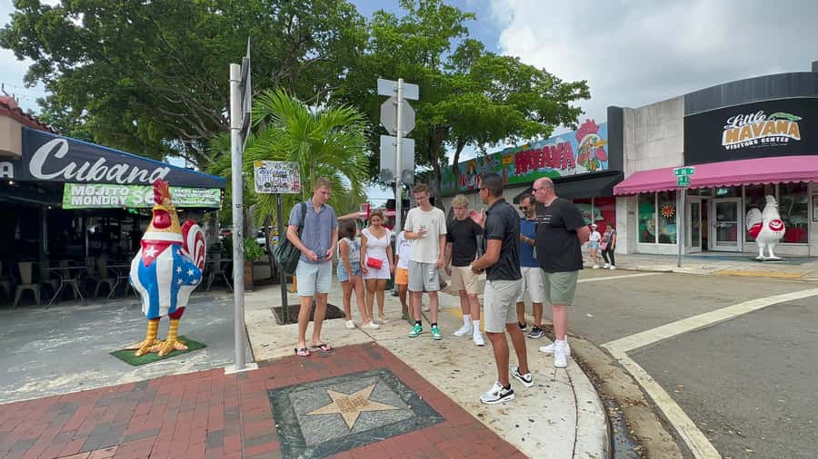 Miami: City Sightseeing and millionaire row boat tour - Coconut Grove: A Scenic Pause, Not a Long Stay