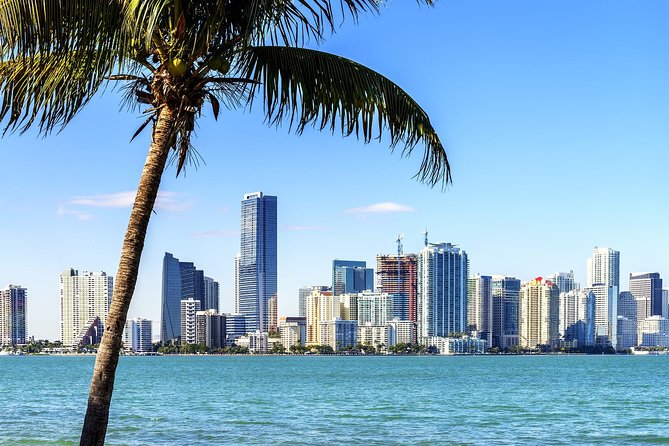 Miami Colors- City Tour with Round Trip Transportation Included - Transfers from Miami International Airport: comfort with a real reason for the money