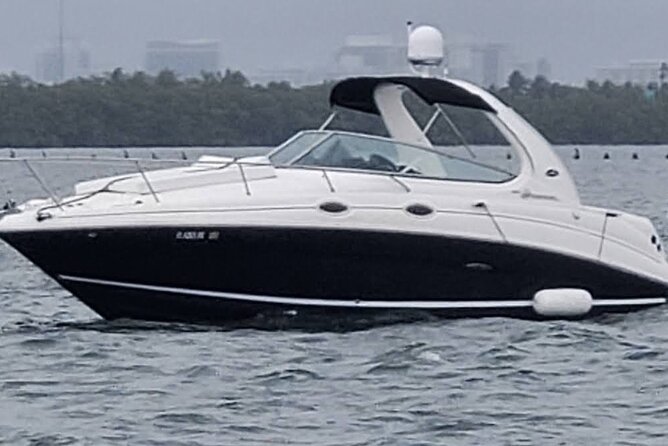 Miami Day or Night /Celebration - Key Highlights at a Glance
