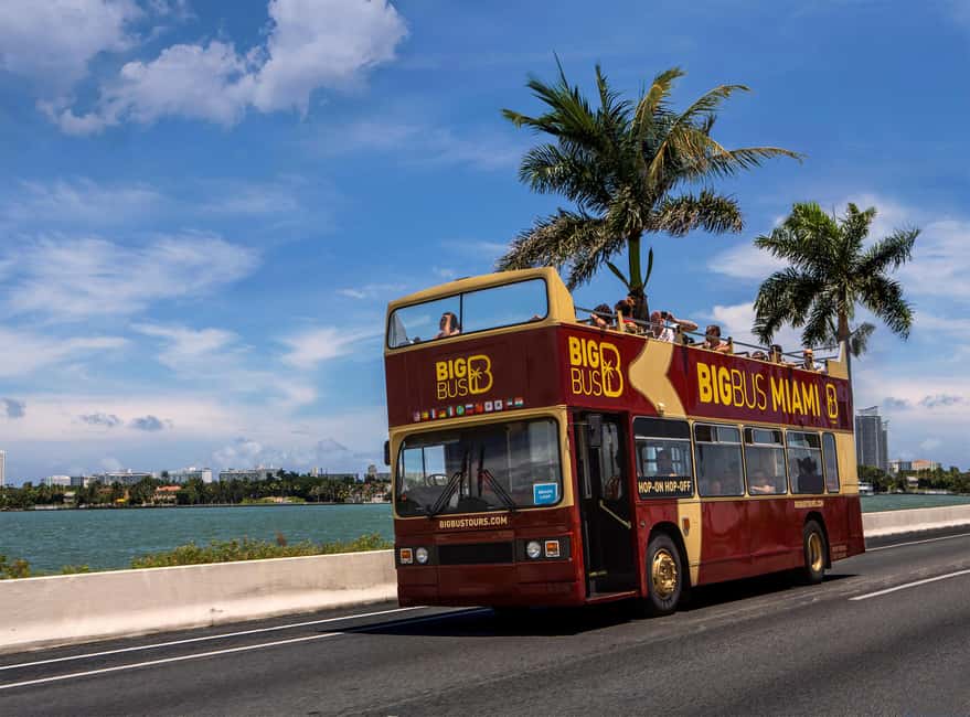 Miami: Everglades Adventure & Big Bus Hop-on Hop-off Tour - Back to Miami: Using Your 24-Hour Big Bus Pass