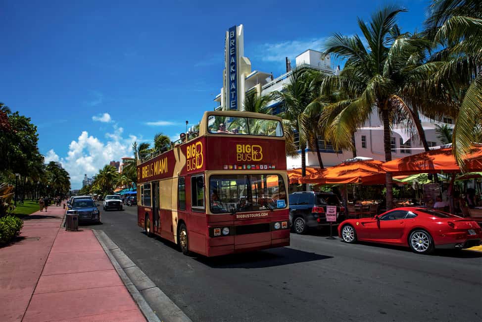 Miami: Everglades Adventure & Big Bus Hop-on Hop-off Tour - Price and Value: Is $66 a Smart Deal?