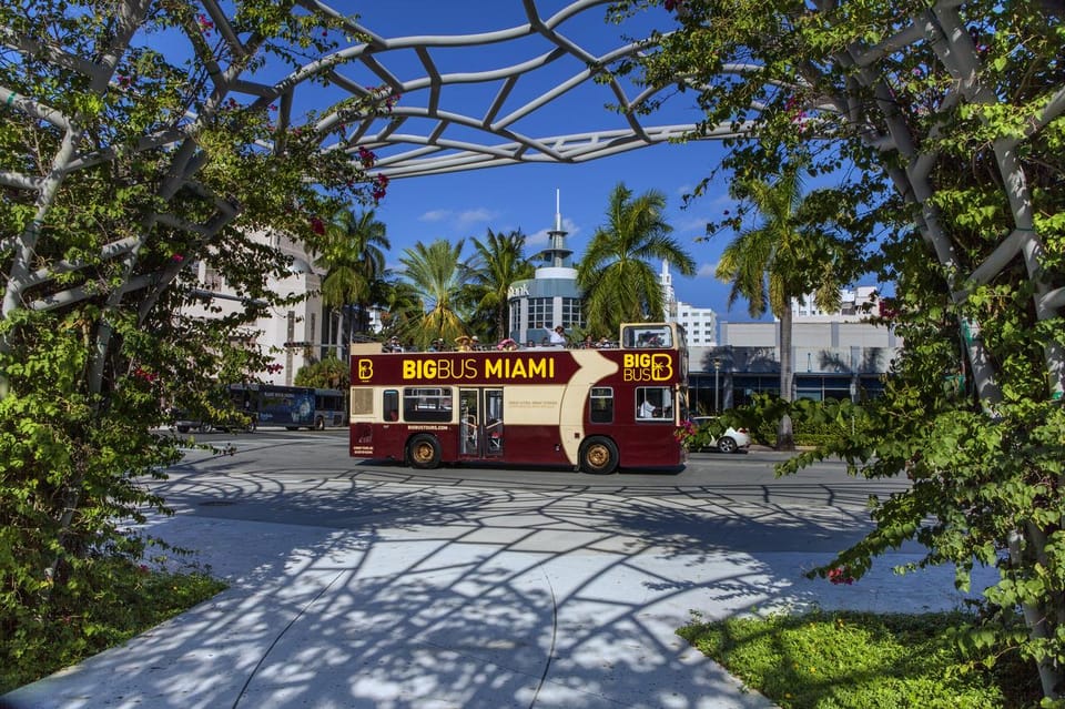 Miami: Everglades Adventure & Big Bus Hop-on Hop-off Tour - Timing and Logistics: The One Thing to Watch Closely