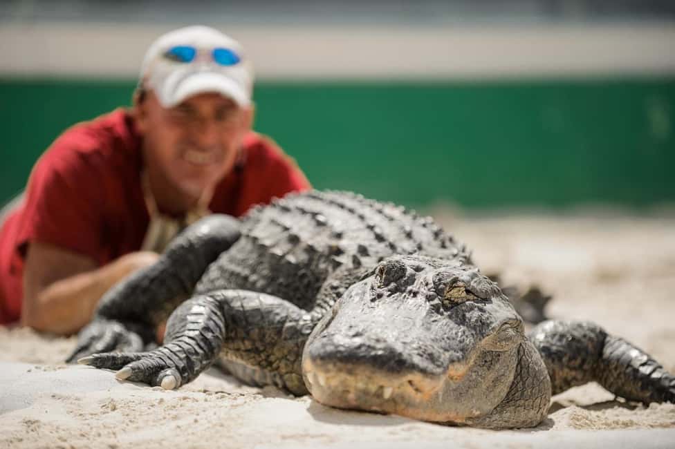 Miami: Everglades Adventure & Big Bus Hop-on Hop-off Tour - Who This Tour Fits Best