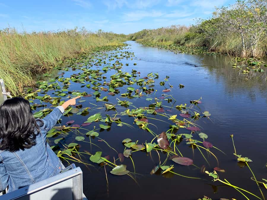 Miami: Everglades Airboat & Animal Sanctuary Tour with Photo - Who this Everglades airboat and sanctuary tour suits best