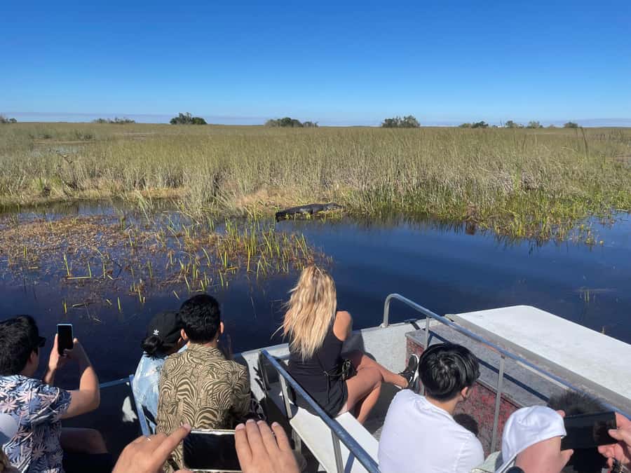 Miami: Everglades Airboat & Animal Sanctuary Tour with Photo - Visitor center stop: the 2-hour learning and photo window
