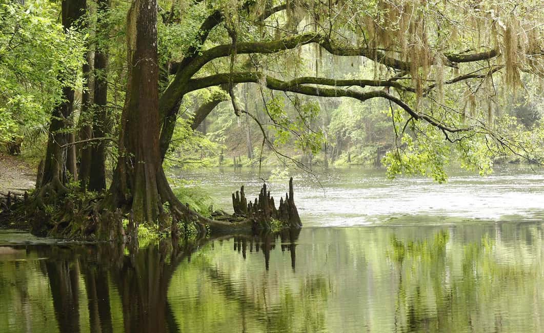 Miami: Everglades Airboat, Photo & Gator Experience - Who should book this Everglades airboat + photo experience