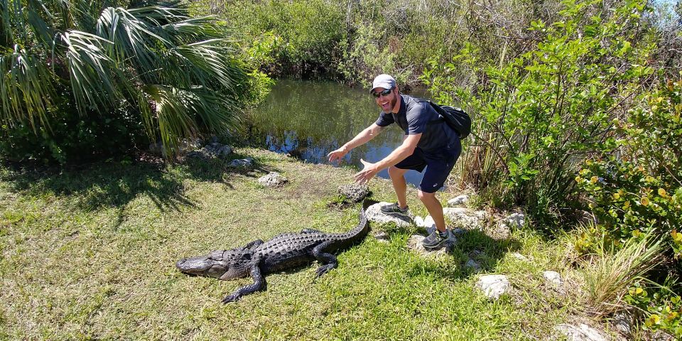 Miami: Everglades Airboat Ride and Tram Tour - The full 6-hour flow: a day that stays organized