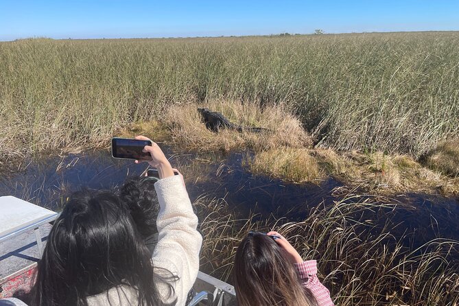 MIAMI: Everglades Airboat, Wildlife Gator Show and Pick-up - Price and value: is $61.75 a smart buy?