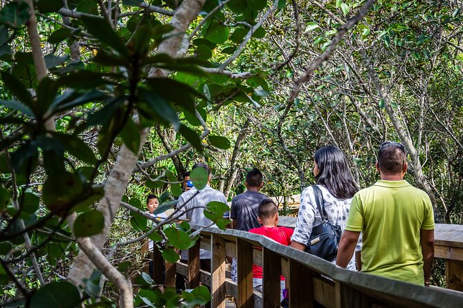 MIAMI: Everglades Airboat, Wildlife Gator Show and Pick-up - The airboat ride: loud fun, real wildlife watching