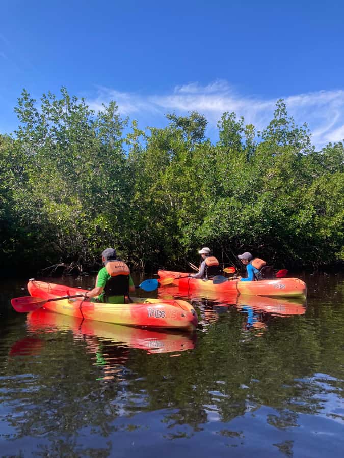Miami: Everglades National Park Hiking and Kayaking Day Trip - Key takeaways before you go